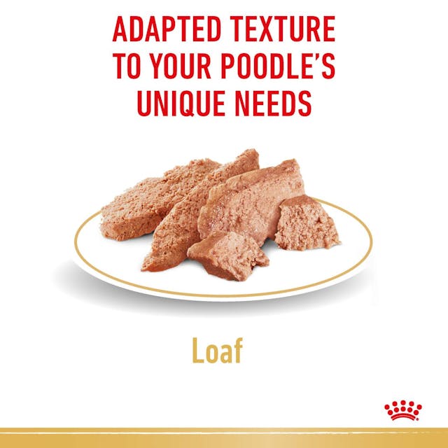 Royal Canin Poodle Dog Wet Food Pouches in Loaf