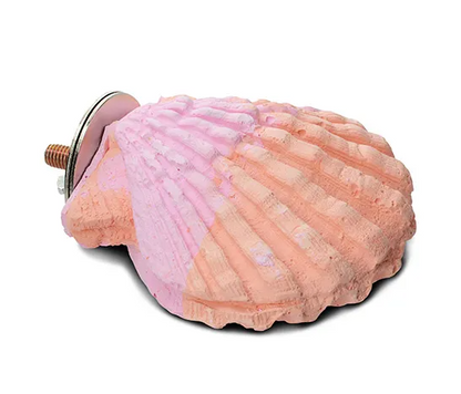 Bainbridge Calcium Bird Perch Clam (Small)