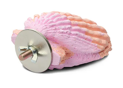 Bainbridge Calcium Bird Perch Clam (Small)