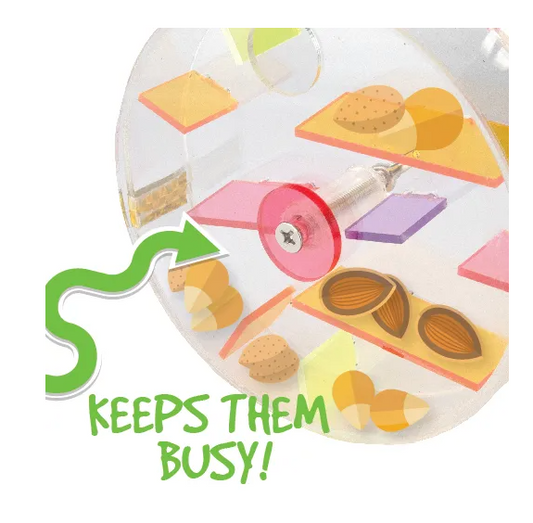 Bainbridge Foraging Bird Toy Fun Cage Wheel