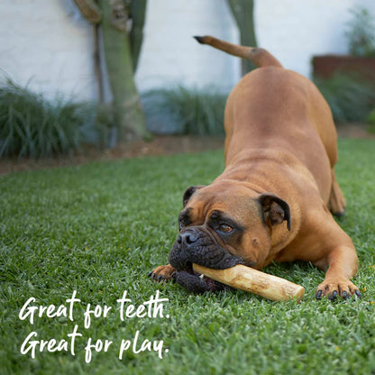 Kazoo Dental Chew Coffee Wood Sticks