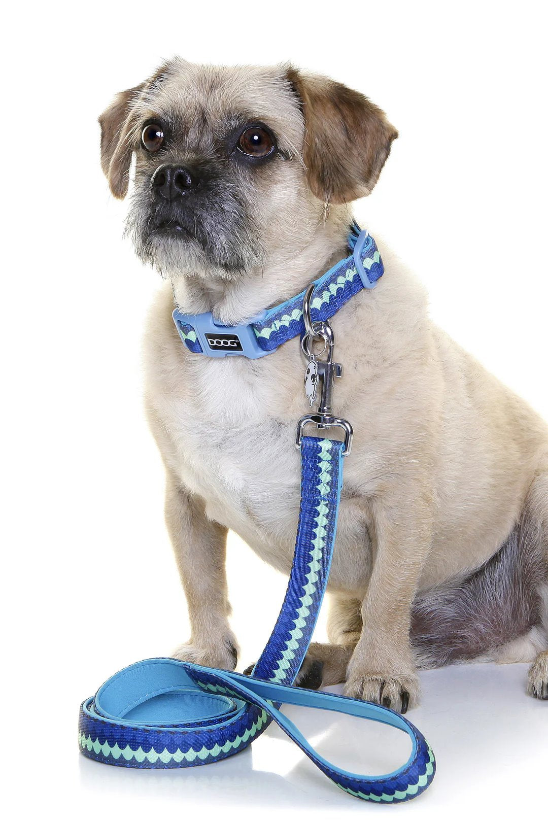 DOOG Pluto Neoprene Dog Collar