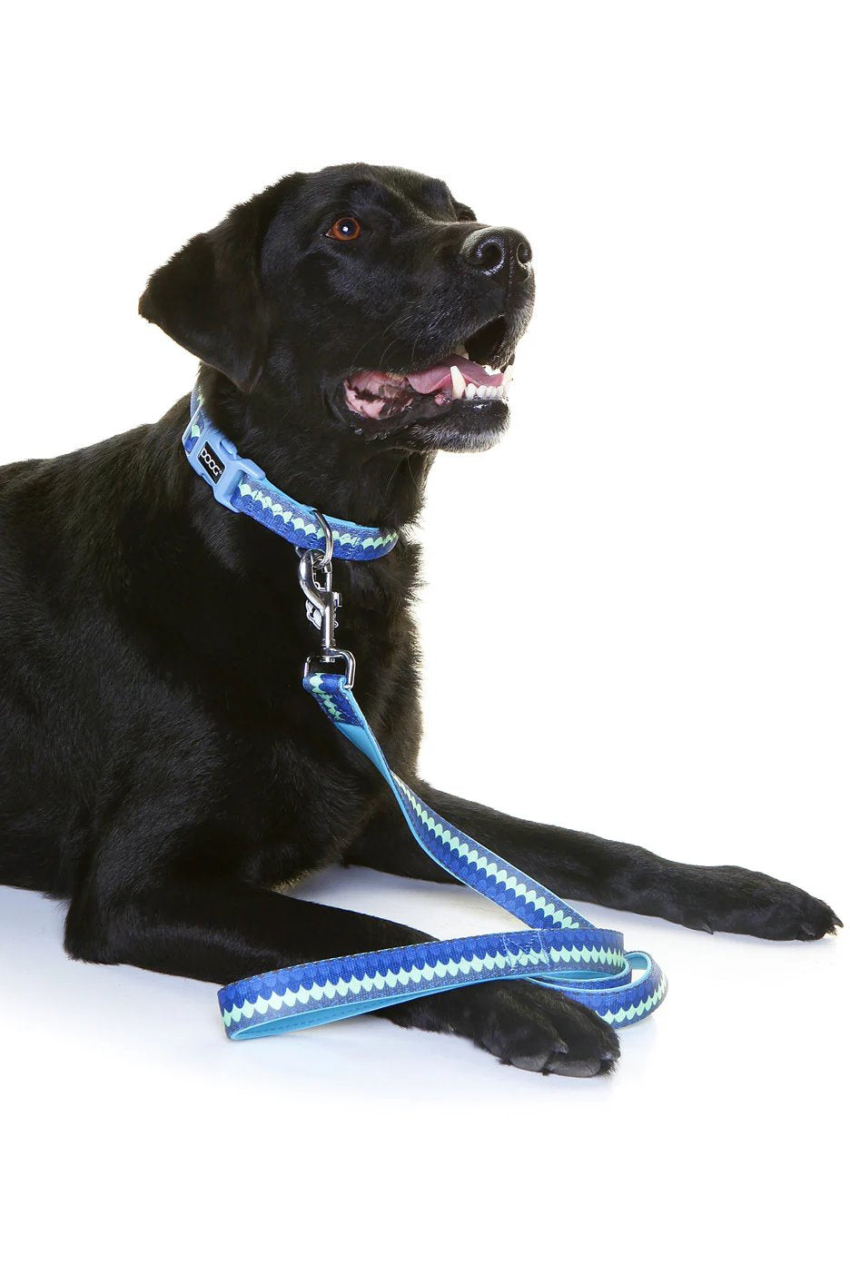 DOOG Neoprene Dog Leash Pluto