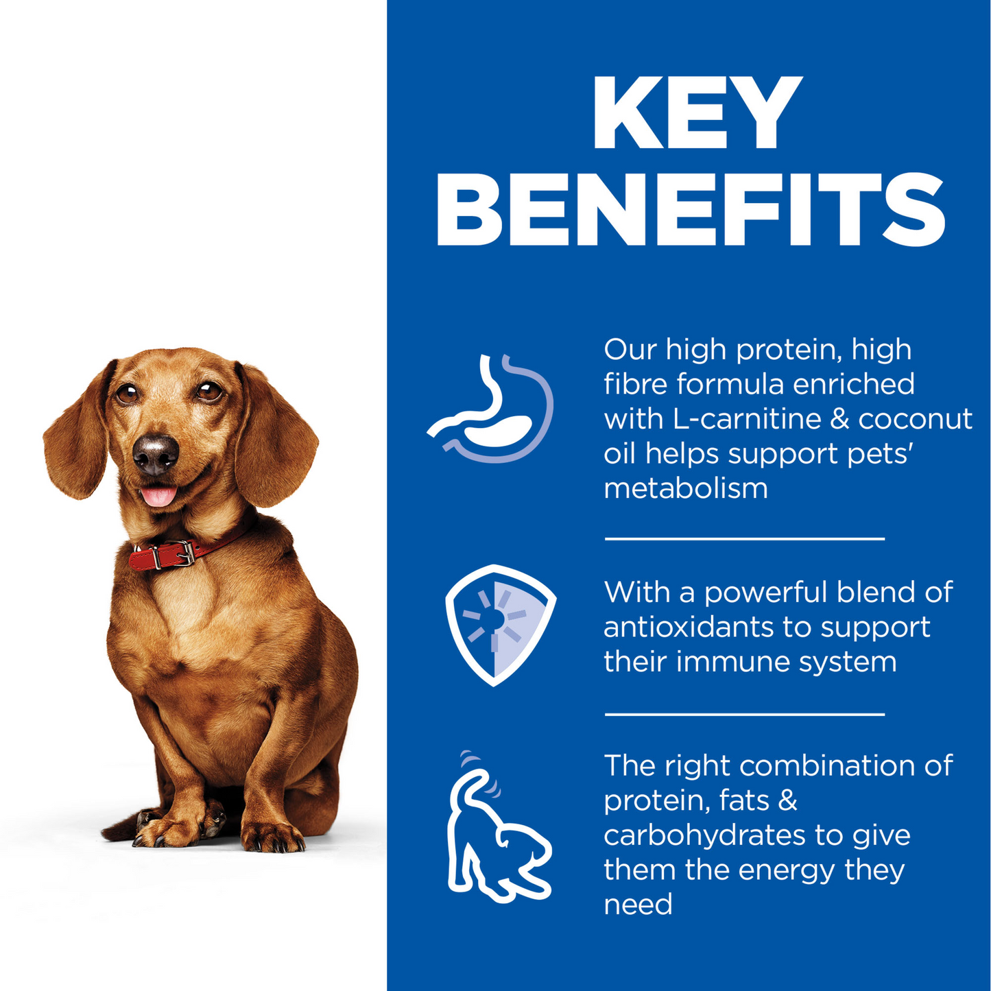 Hill's Science Diet Adult Perfect Weight Small & Mini with Turkey Canned Dog Food