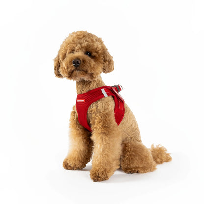EzyDog FormFit Mesh Harness Red