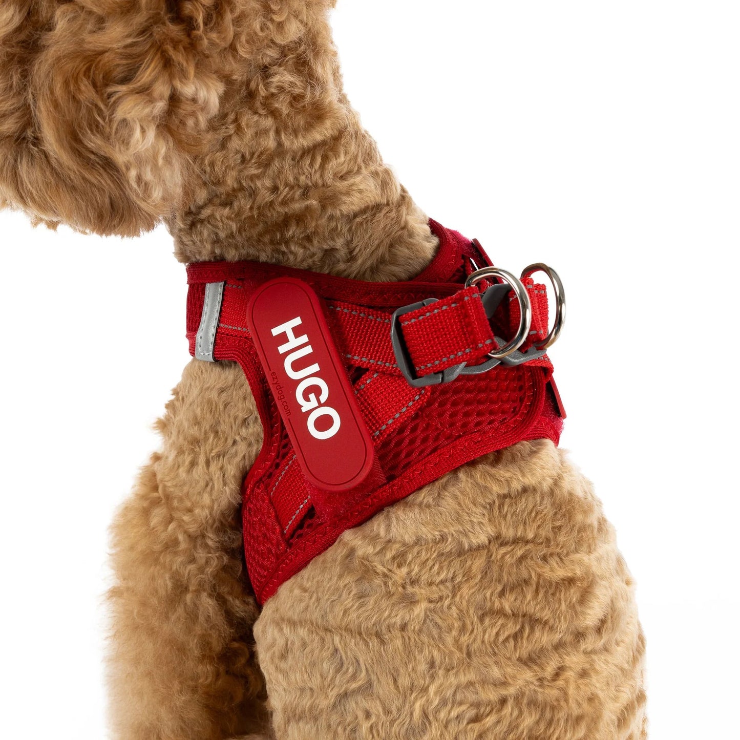 EzyDog FormFit Mesh Harness Blue