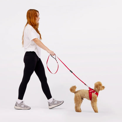 EzyDog FormFit Mesh Harness Purple