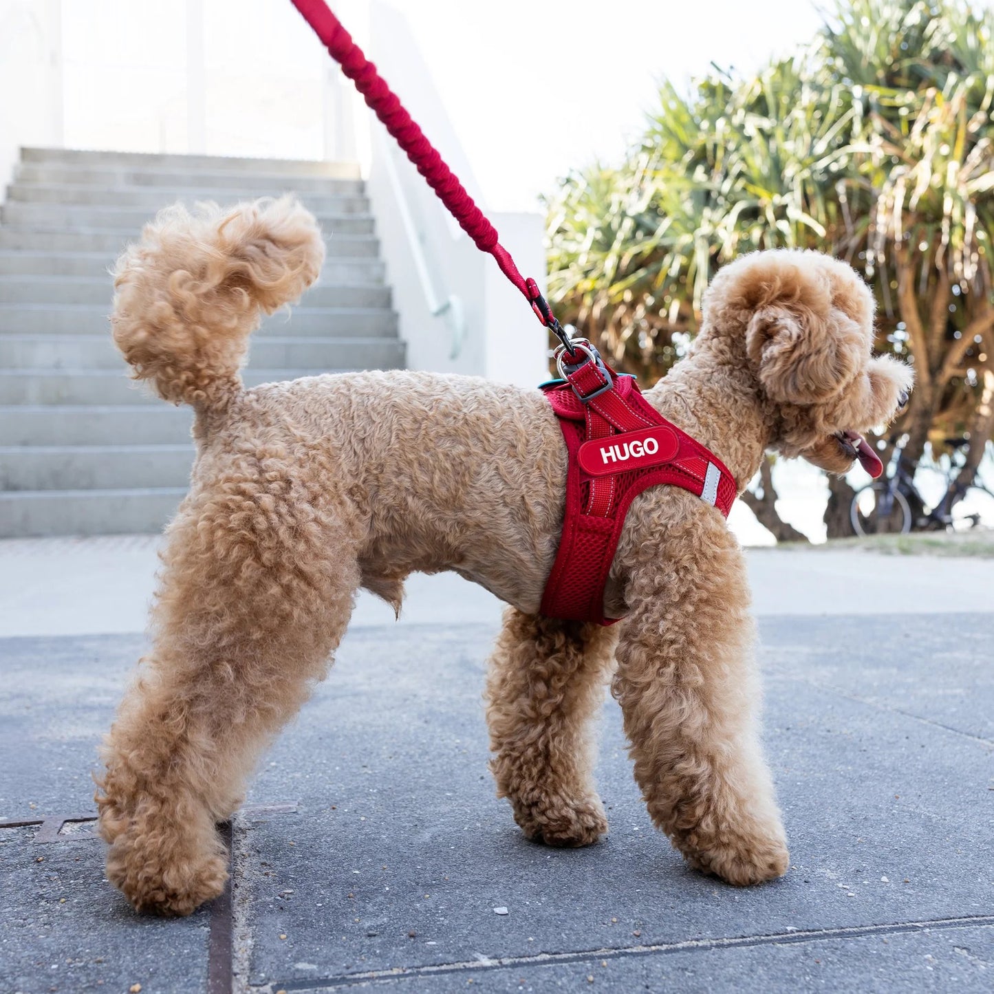 EzyDog FormFit Mesh Harness Purple
