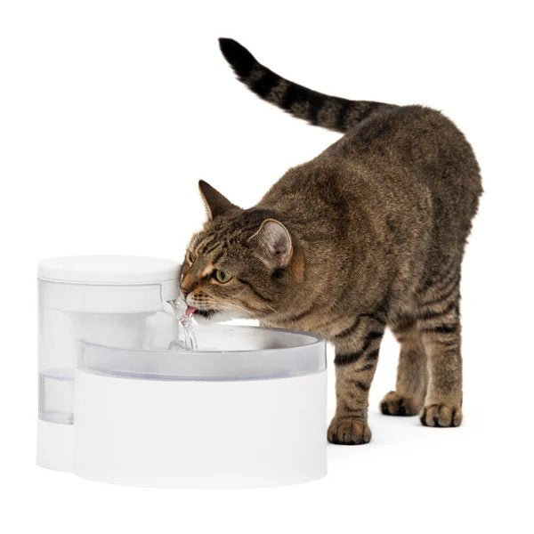 PetSafe Outlast 1.7L Pumpless Pet Fountain