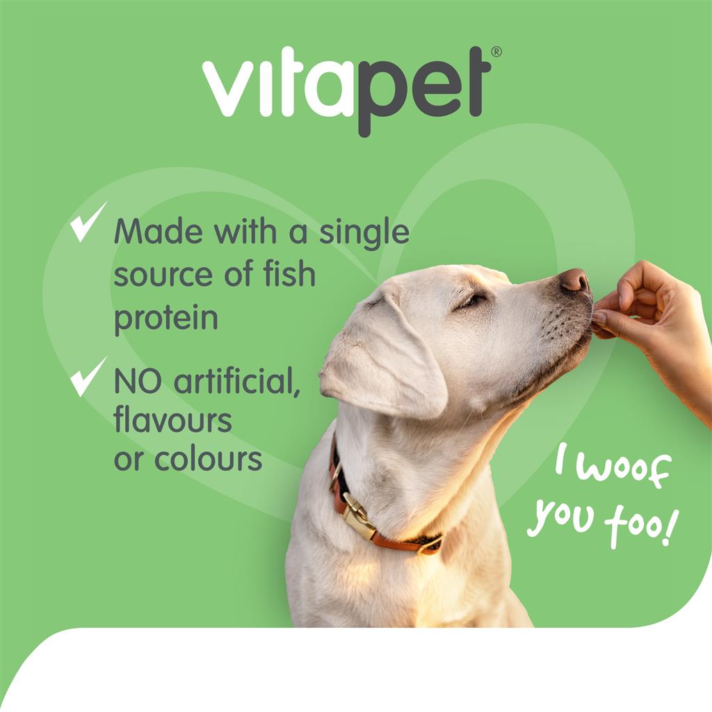 Vitapet Salmon Sticks 80g