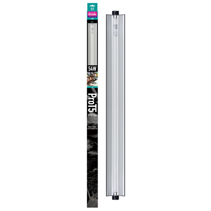 Arcadia Pro T5 UVB Kit + 12% UV-B Lamp