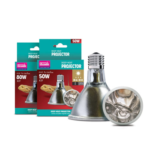 Arcadia Deep Heat Projector E27