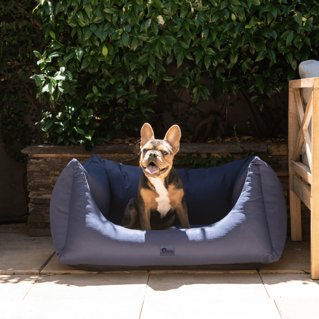 Superior Pet Goods High Side Hideout Ortho Dog Bed Ripstop Bondi Blue