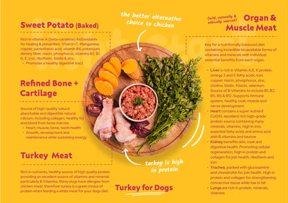 Right Start Turkey for Dogs