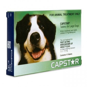 Capstar 57MG Large Dog Green