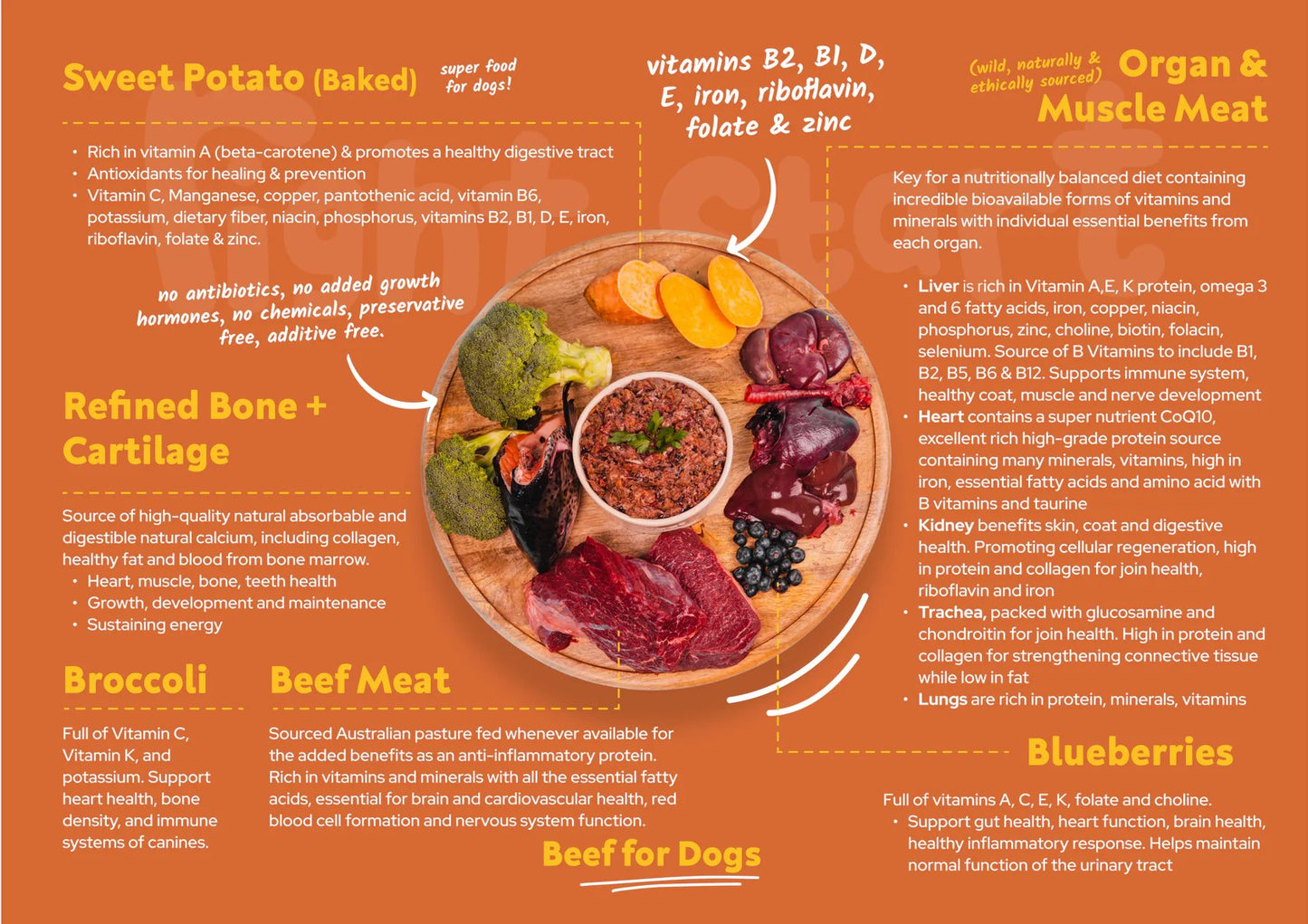 Right Start Beef for Dogs