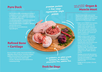 Right Start Duck for Dogs