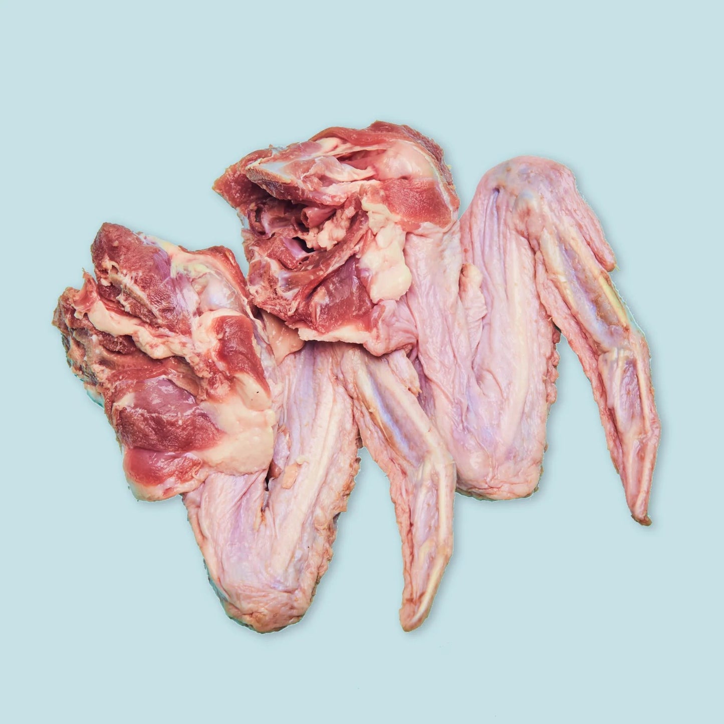 Right Start Duck Wing for Cats & Dogs Twin Pack