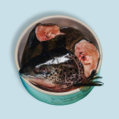 Right Start Salmon Head for Dogs