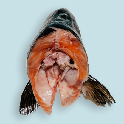 Right Start Salmon Head for Dogs