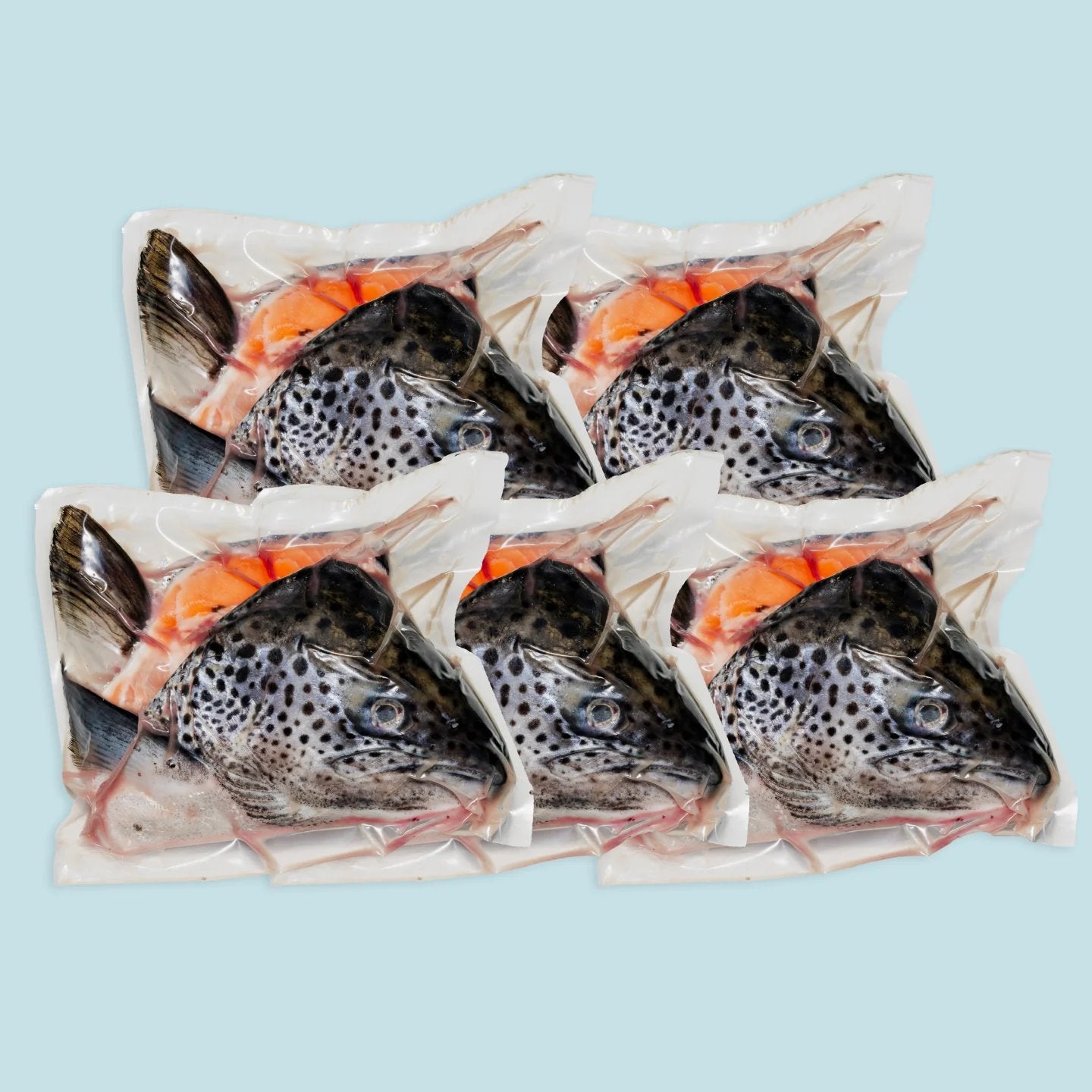 Right Start Salmon Head for Dogs