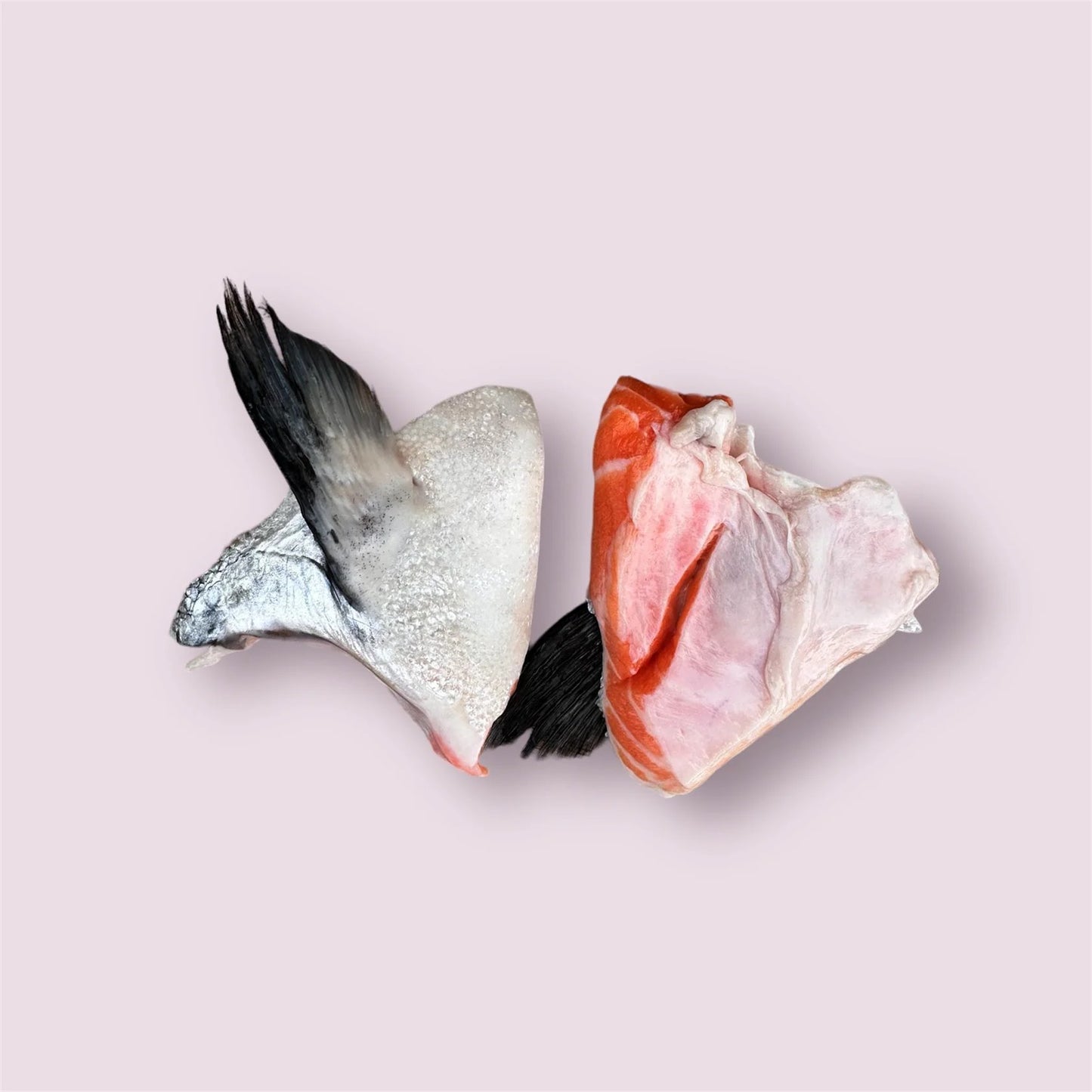 Right Start Salmon Wings for Dogs