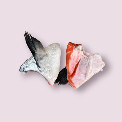 Right Start Salmon Wings for Dogs