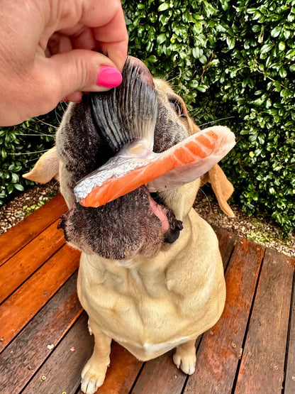 Right Start Salmon Wings for Dogs