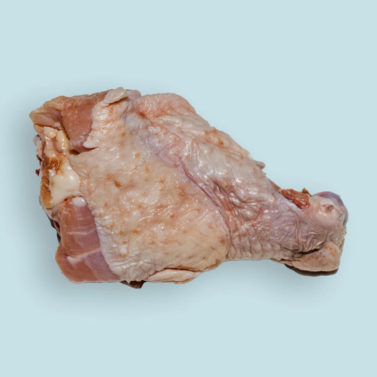 Right Start Turkey Drum for Dogs