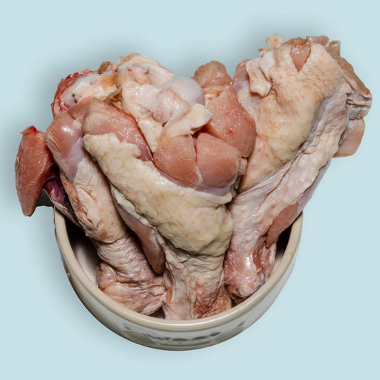 Right Start Turkey Drum for Dogs