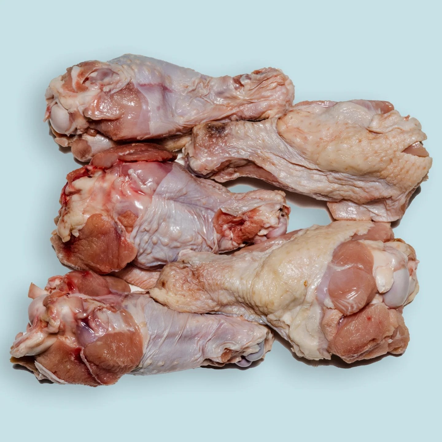 Right Start Turkey Drum for Dogs