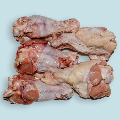 Right Start Turkey Drum for Dogs