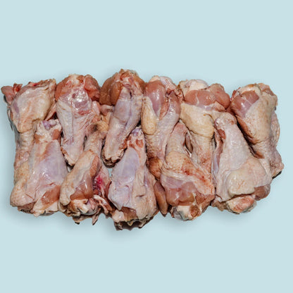 Right Start Turkey Drum for Dogs