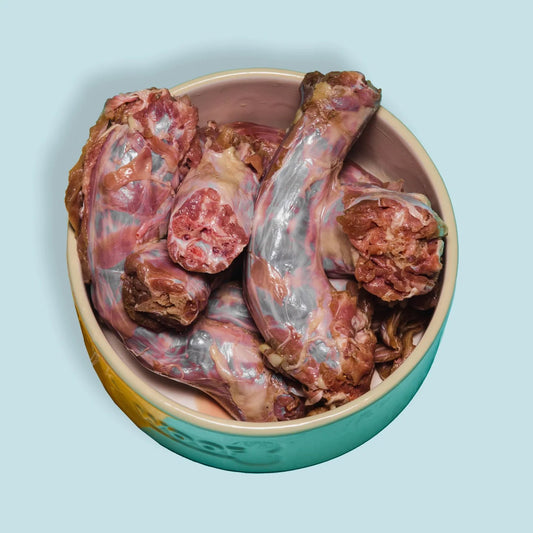 Right Start Turkey Neck for Dogs