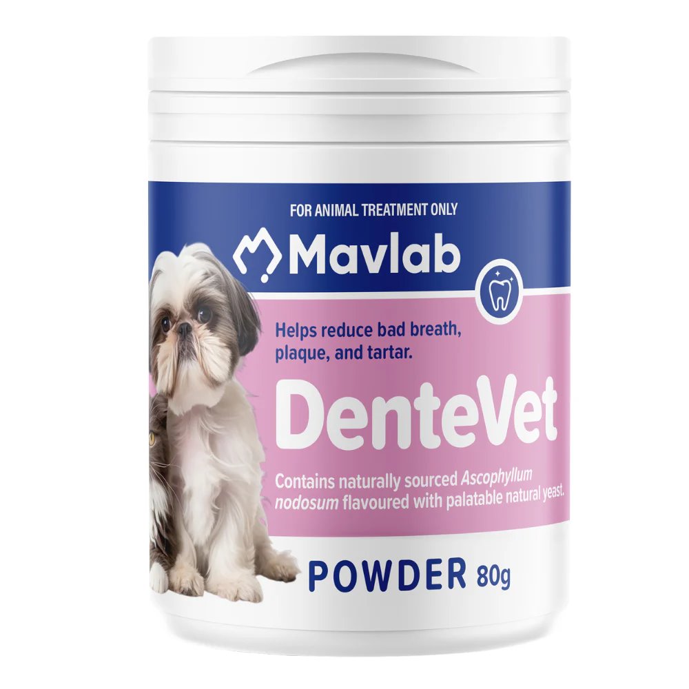 Mavlab DenteVet Powder 80g