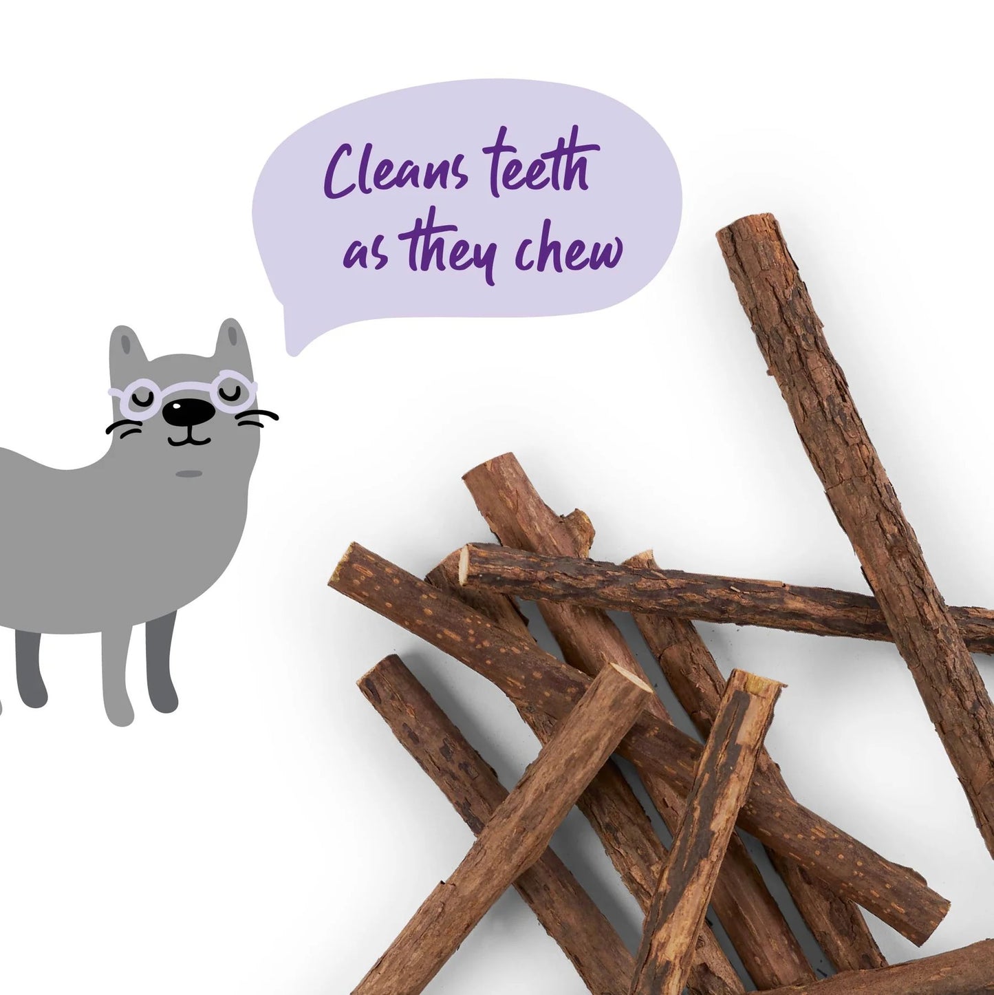 Kazoo Kitty Silvervine Dental Chews 10pk