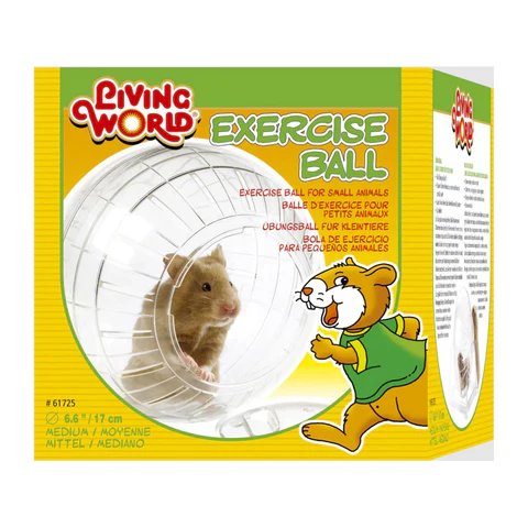 Living World Exercise Ball with Stand Medium