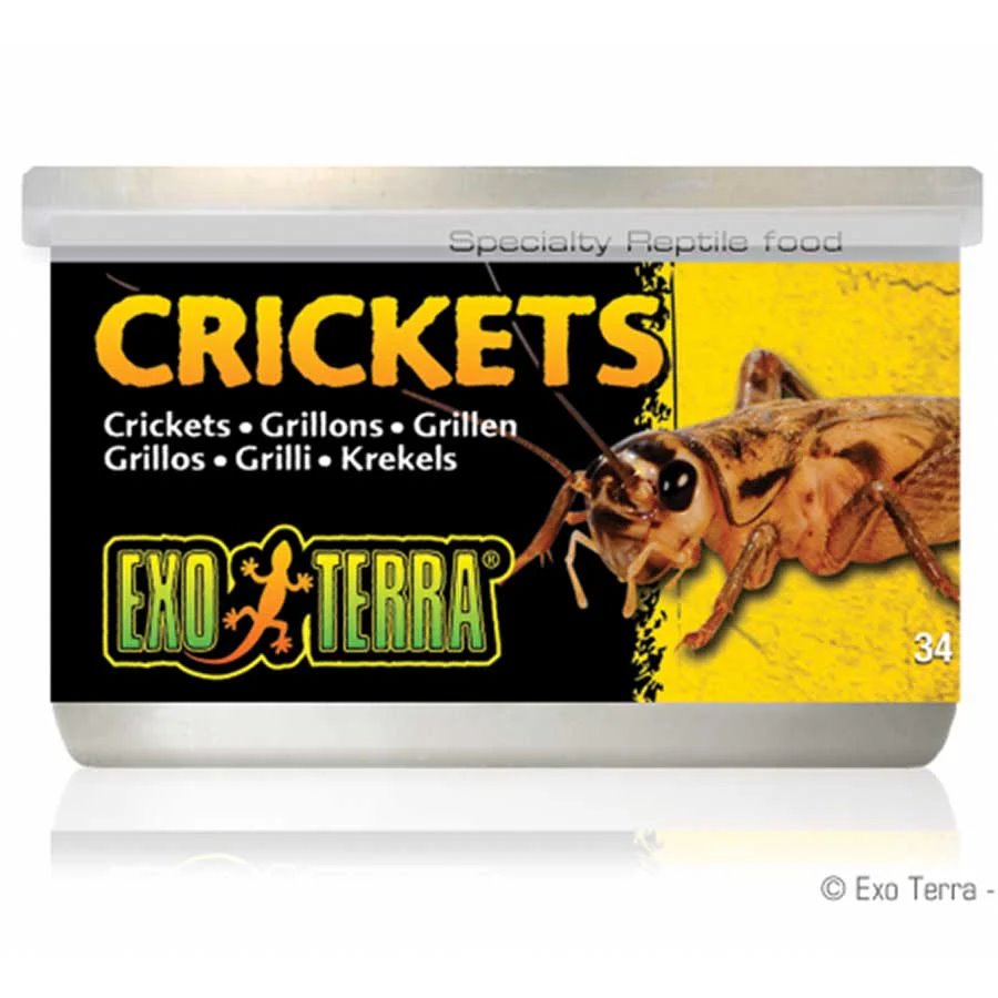 Exo Terra Crickets 34g