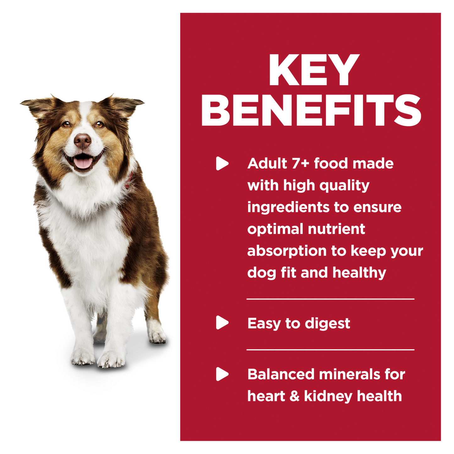 Hill's Science Diet Adult 7+ Chicken & Barley Canned Dog Food