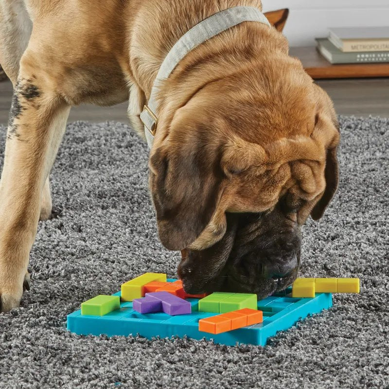 Brightkins Brain Teaser Treat Puzzle