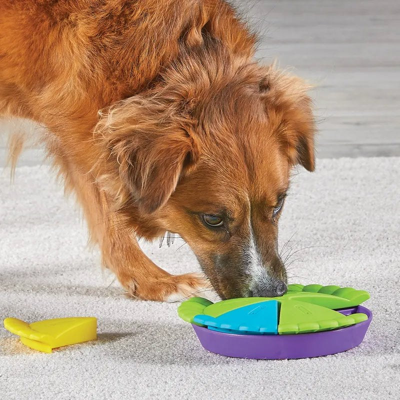 Brightkins Slice-O-Pie Treat Puzzle