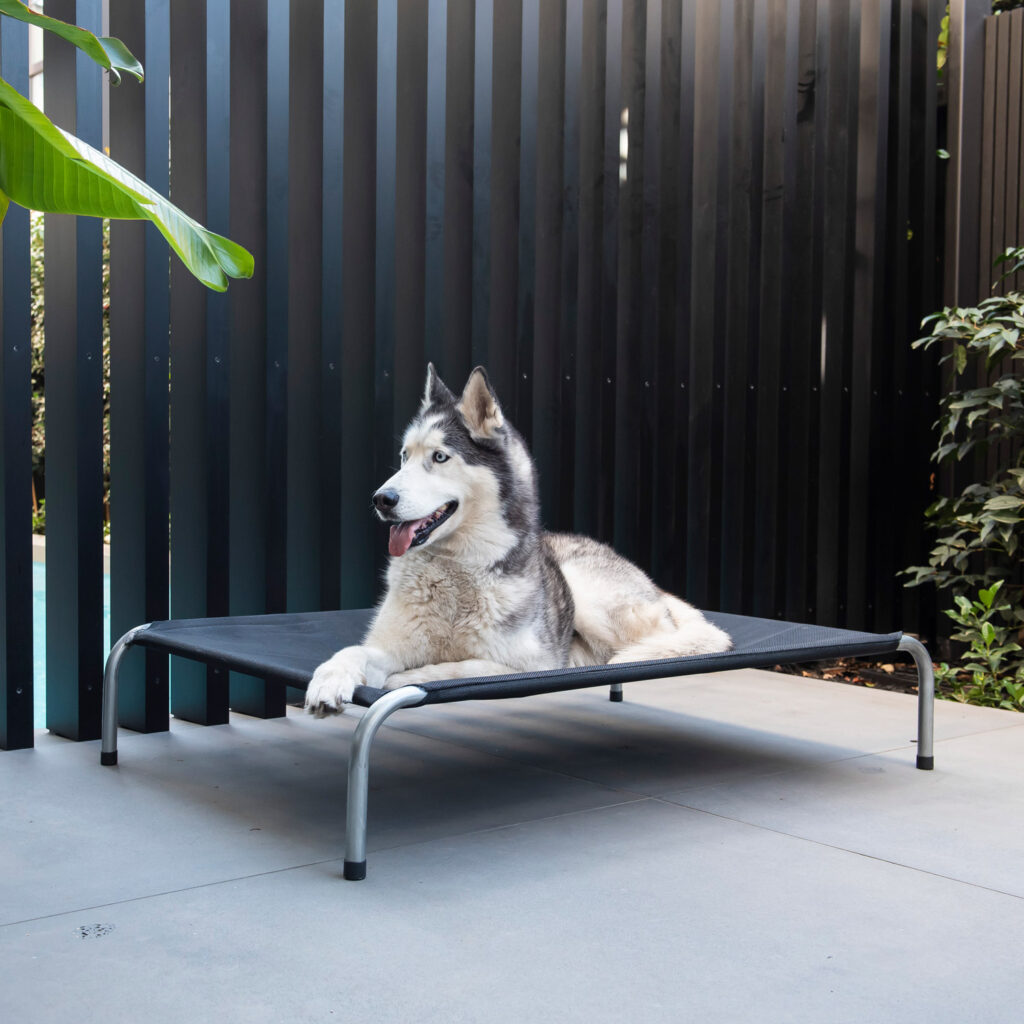 Superior Pet Goods Heavy Duty Flea-Free Dog Bed Black
