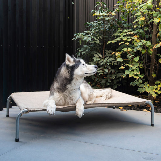 Superior Pet Goods Hessian/Jute Dog Bed