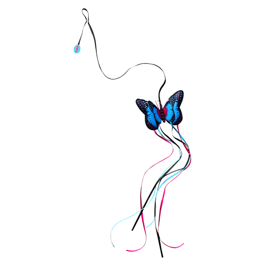 KONG Teaser Butterfly