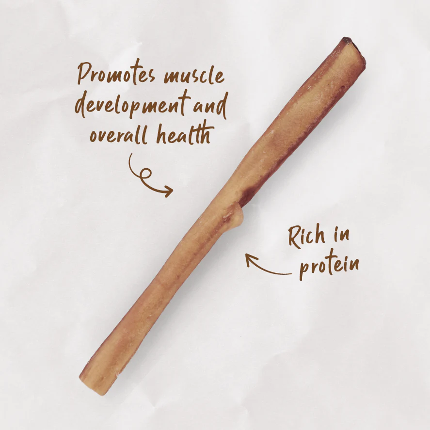 Kazoo Prime Cuts Beef Sticks-1pc 30cm