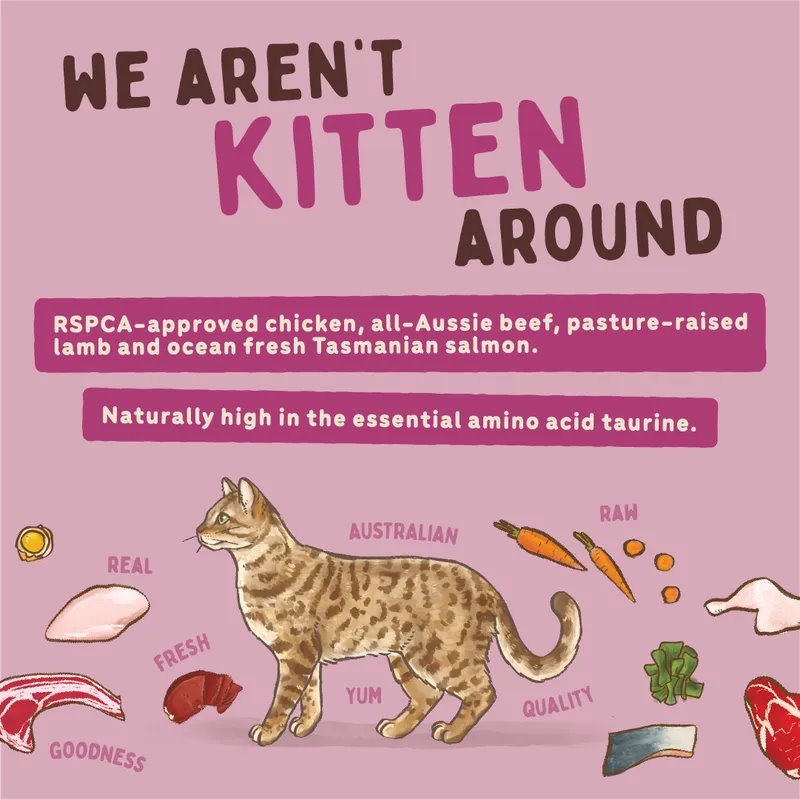 Big Dog Combo Raw Cat Food (12x115g/1.38kg)