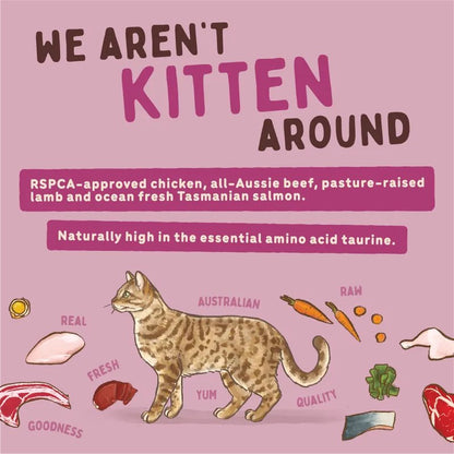 Big Dog Combo Raw Cat Food (12x115g/1.38kg)