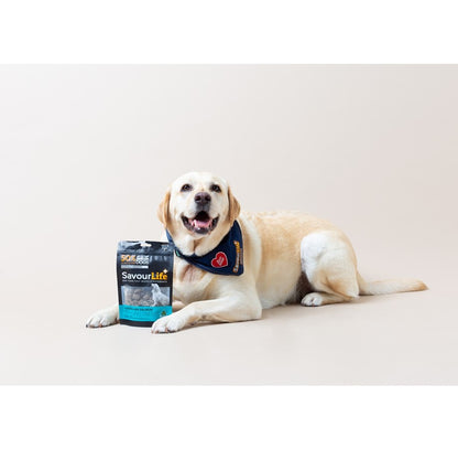 SavourLife Australian Salmon Training Treats 150g