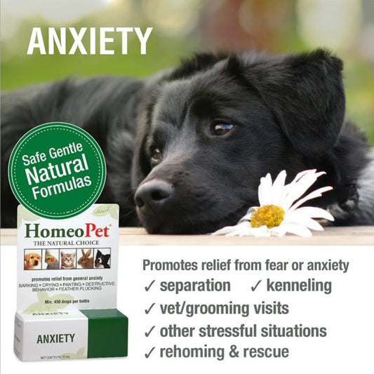HomeoPet Anxiety Natural Liquid Supplement 15mL