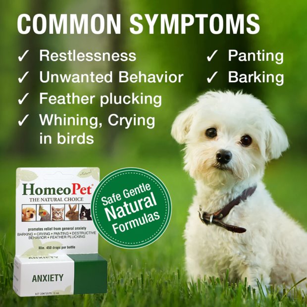 HomeoPet Anxiety Natural Liquid Supplement 15mL
